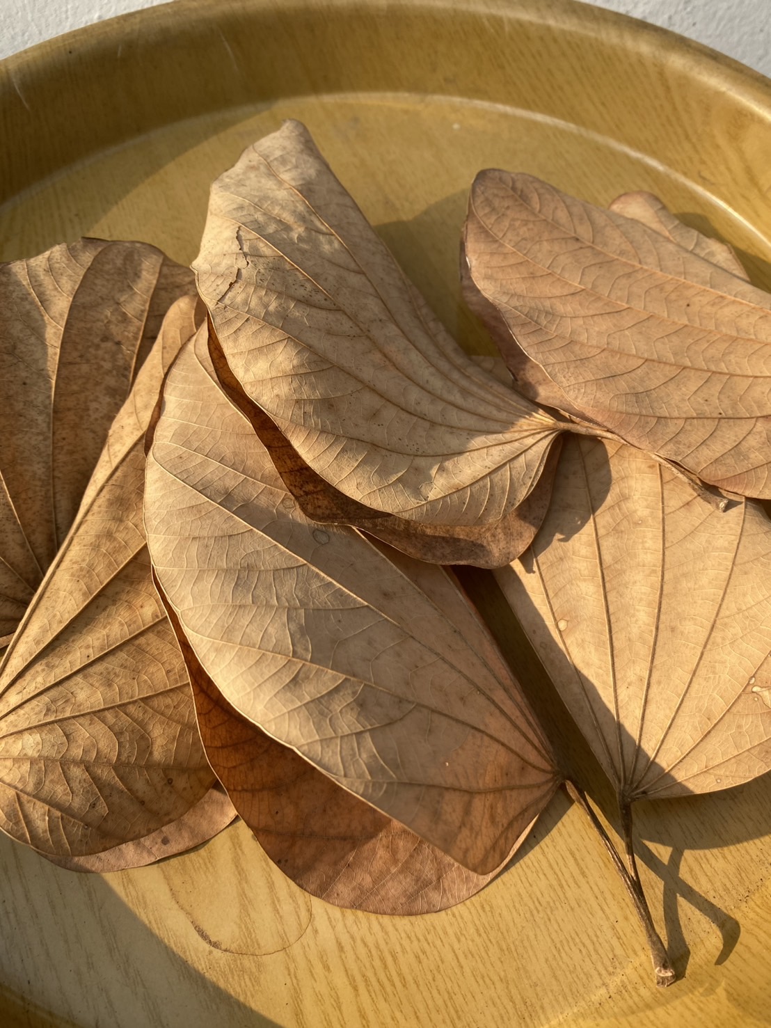 ใบชงโคตากแห้ง Orchid tree/ Purple bauhinia