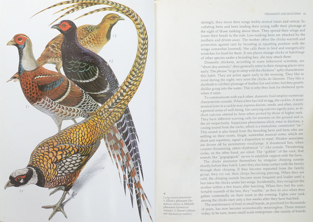 Grzimek’s ANIMAL LIFE ENCYCLOPEDIA