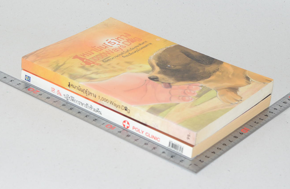 รวมเรื่อง (2 เล่ม)