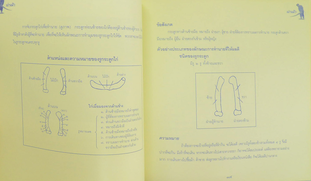 ชาวเขาเผ่า แม้ว