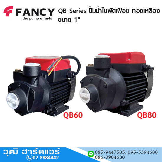 FANCY QB Series ปั๊มหอยโข่ง 1" 220V