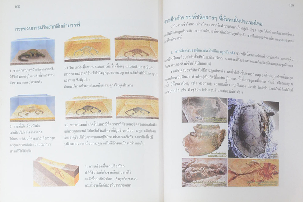 นายเกียรติ สุธีธร (ไดโนเสาร์)