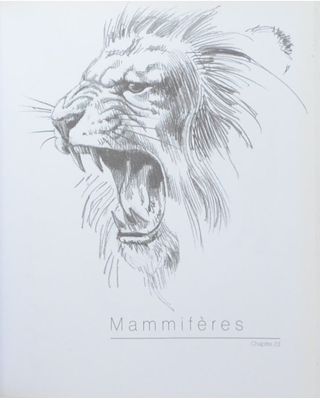 Le grand cours de DESSIN