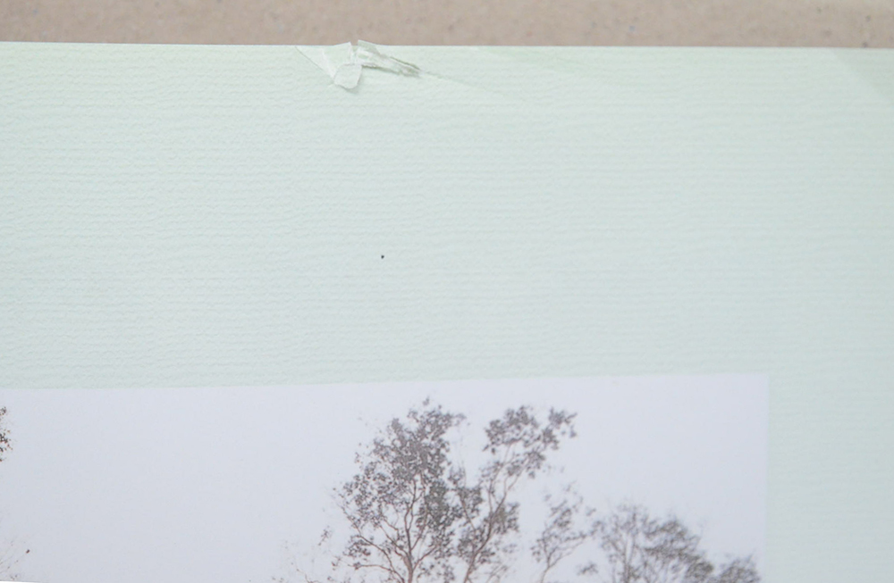 สวนสมเด็จพระศรีนครินทร์ (ขายตามสภาพ)