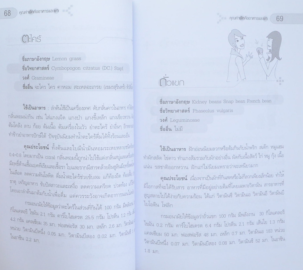 คุณค่าผัก คืออาหารและยาอายุวัฒนะ