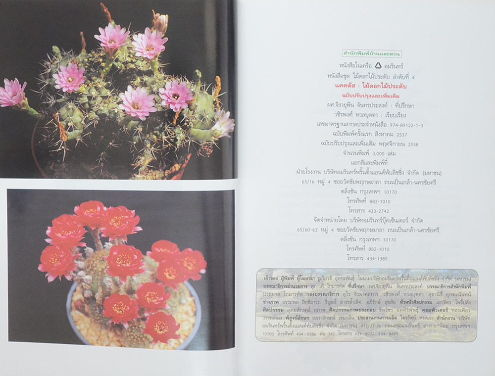 แคคตัส ไม้ดอกไม้ประดับ