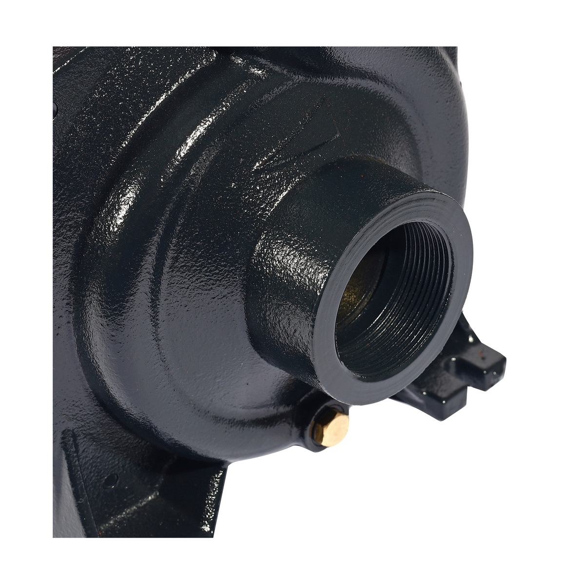 POLO LHF1-5BMB ปั๊มหอยโข่ง 2"x2" 1.5HP H.20m 500L/min