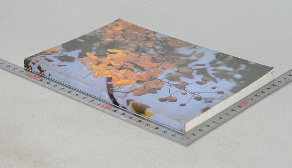 คุณแม่สายหยุด บุญศรี (ตำรายาสมุนไพร)