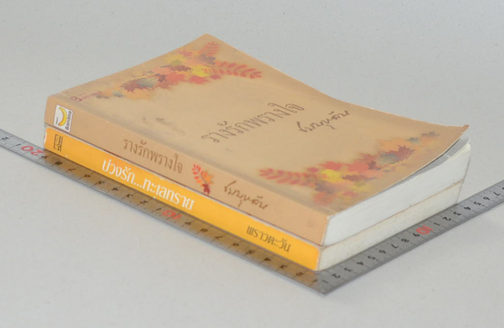 รวมเรื่อง (2 เล่ม)