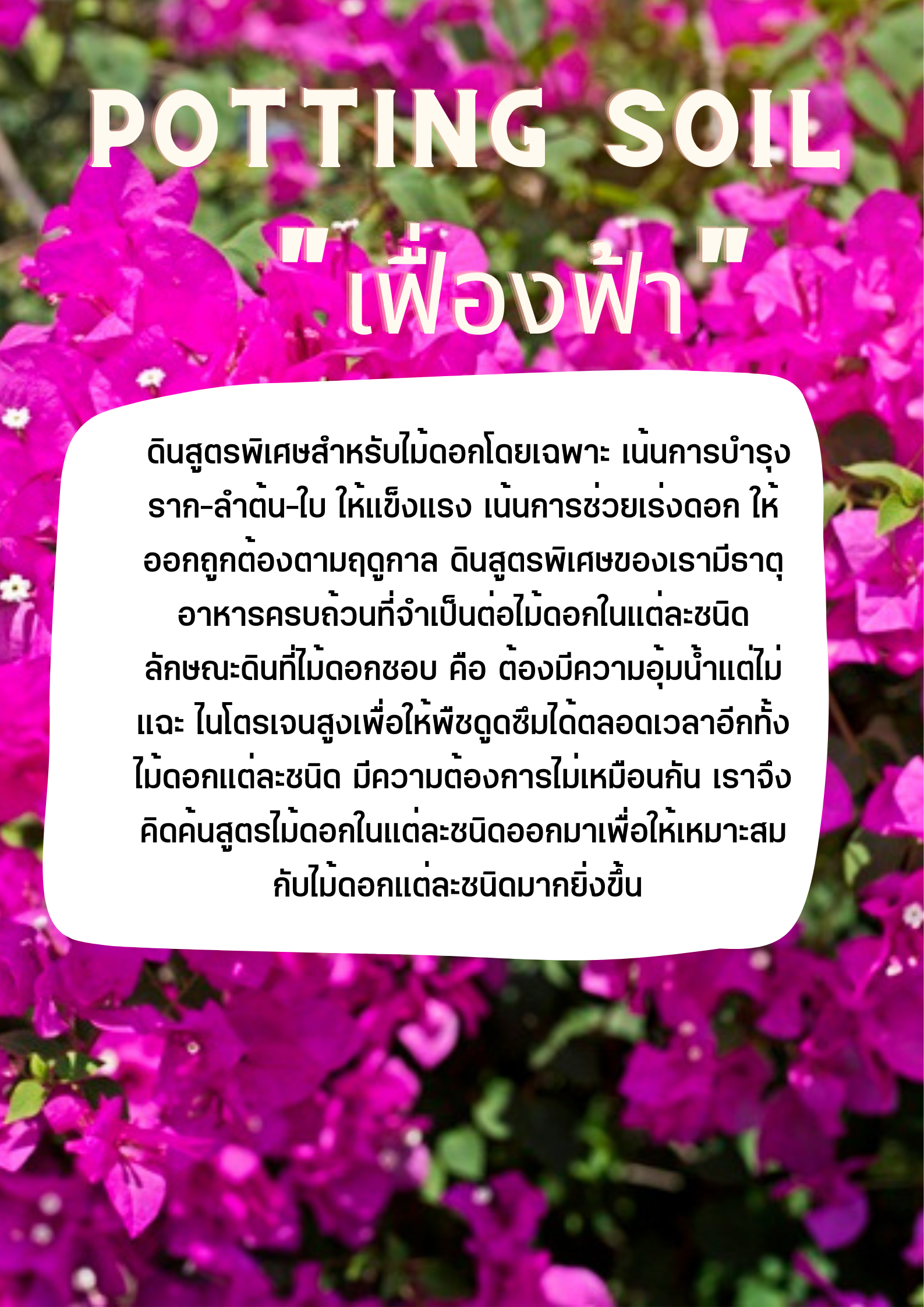 POTTING SOIL ดินเฟื่องฟ้า