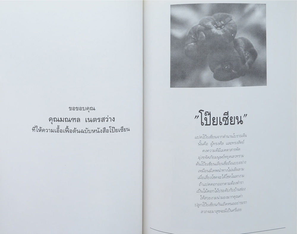 พ.ต.อ. บรรเจิด สุเภากิจ (เรื่องโป๊ยเซียน)