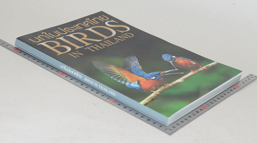 นกในประเทศไทย (ภาษาไทย-อังกฤษ)