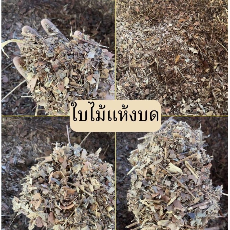 ใบไม้แห้งบด Leaf