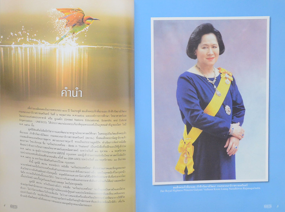 นกในประเทศไทย (ภาษาไทย-อังกฤษ)