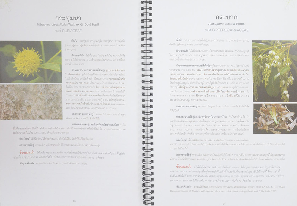 คู่มือเลือกชนิดพรรณไม้เพื่อปลูกป่าป้องกันอุทกภัย