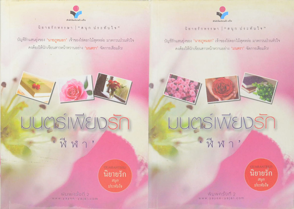 มนตร์เพียงรัก (2 เล่มจบ)
