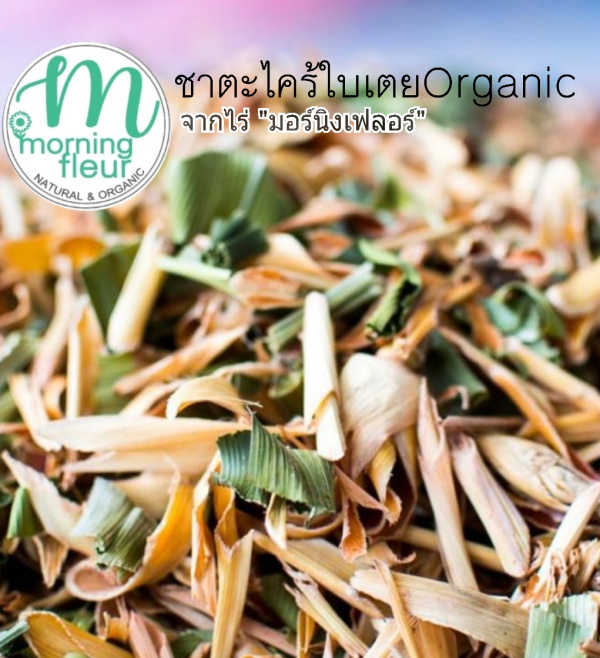 ♡(ราคาส่งกิโล)ชาดอกไม้&ชาสมุนไพร Morning Fleur