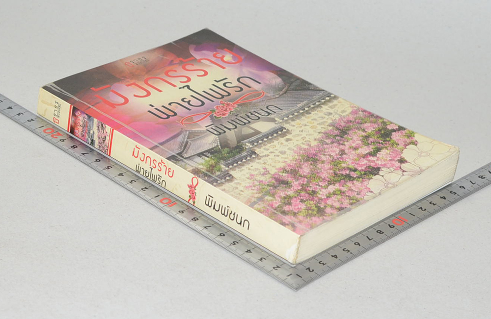 มังกรร้ายพ่ายไฟรัก