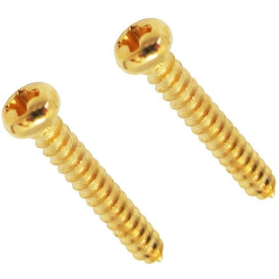 Floydrose String Retainer Screws (2) / สกรูว ล็อก String Tree ชุด 2 ตัว