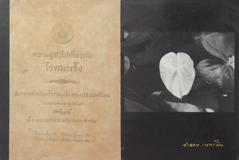 ความรู้เรื่องโรคมะเร็ง (3 เล่ม)