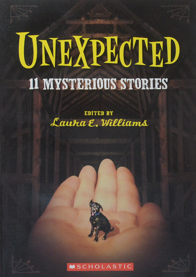 UNEXPECTED 11 MYSTERIOUS STORIES