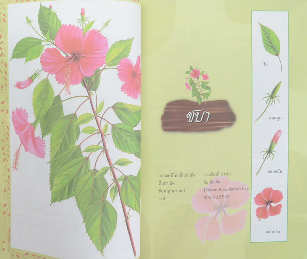 ดอกไม้ในวรรณคดีไทย