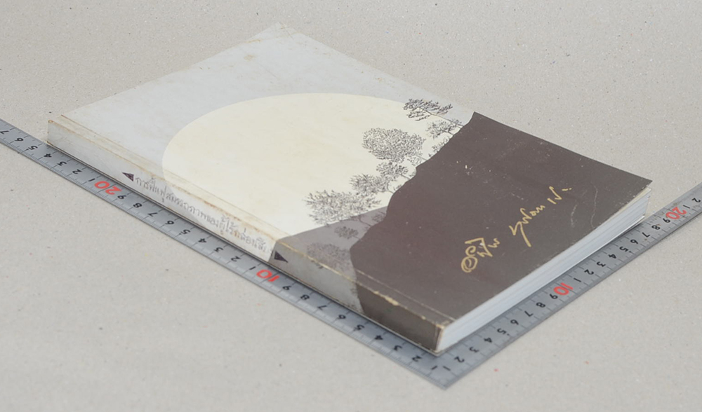 นายอำไพ มุทิตาเจริญ (การฟื้นฟูสมรรถภาพของผู้ไร้กล่องเสียง)