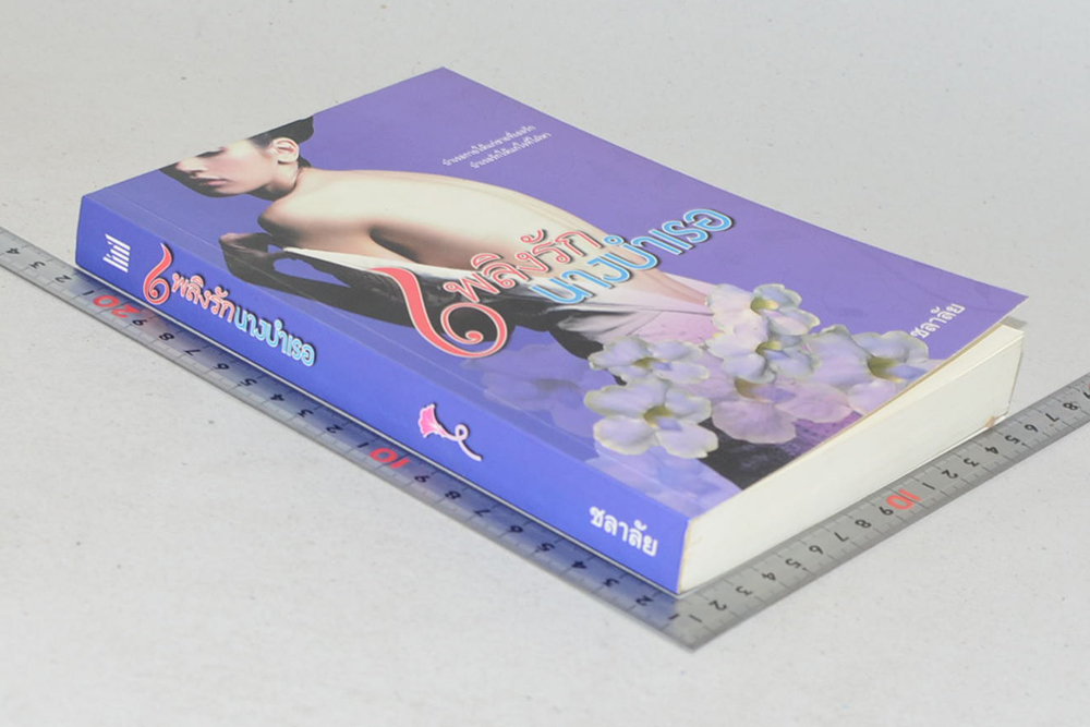 เพลิงรักนางบำเรอ