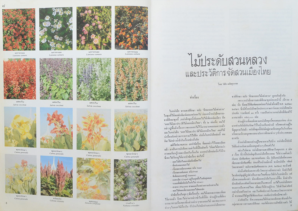 ไม้ประดับสวนหลวงและประวัติการจัดสวนเมืองไทย