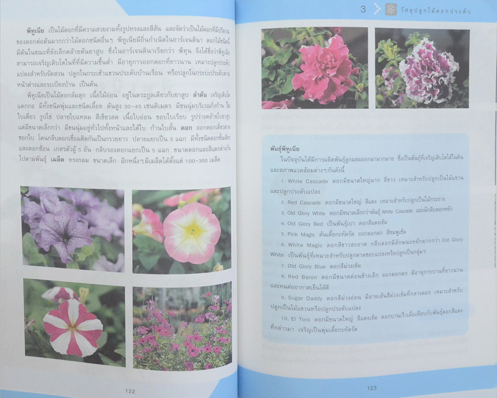 วัสดุปลูกไม้ดอก ไม้ประดับ