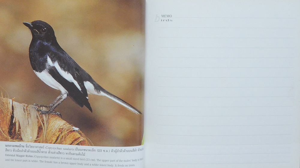 birds นก (สมุดบันทึก)