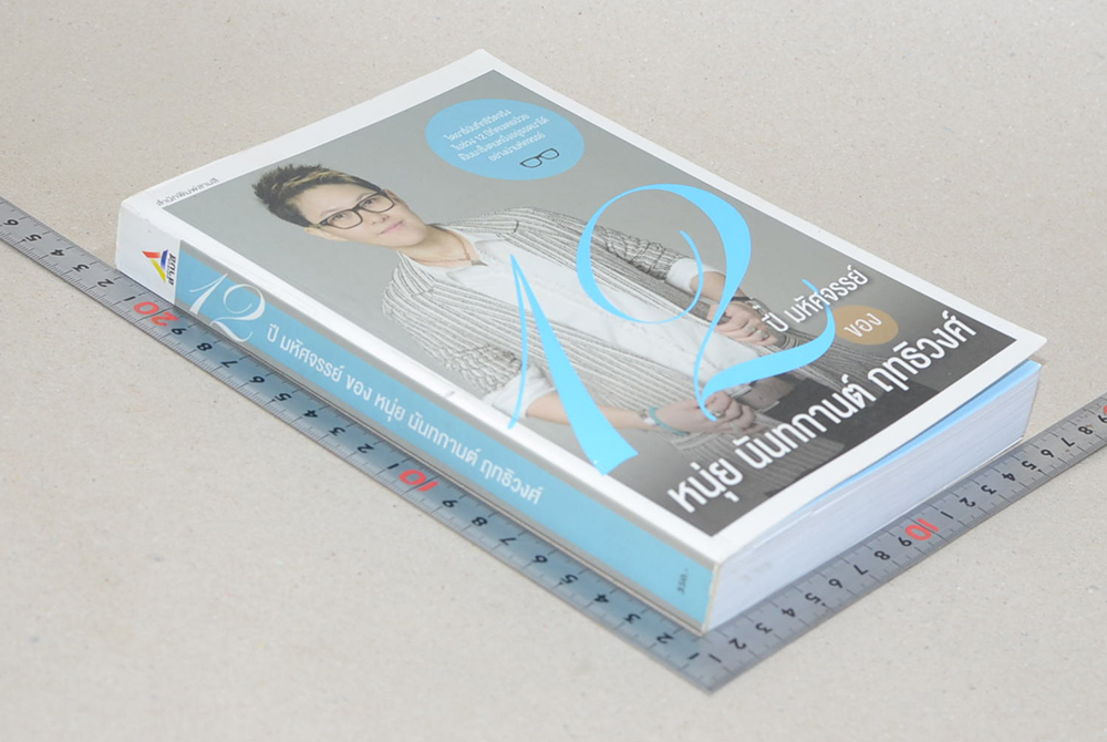 12 ปี มหัศจรรย์ ของ หนุ่ย นันทกานต์ ฤทธิวงศ์