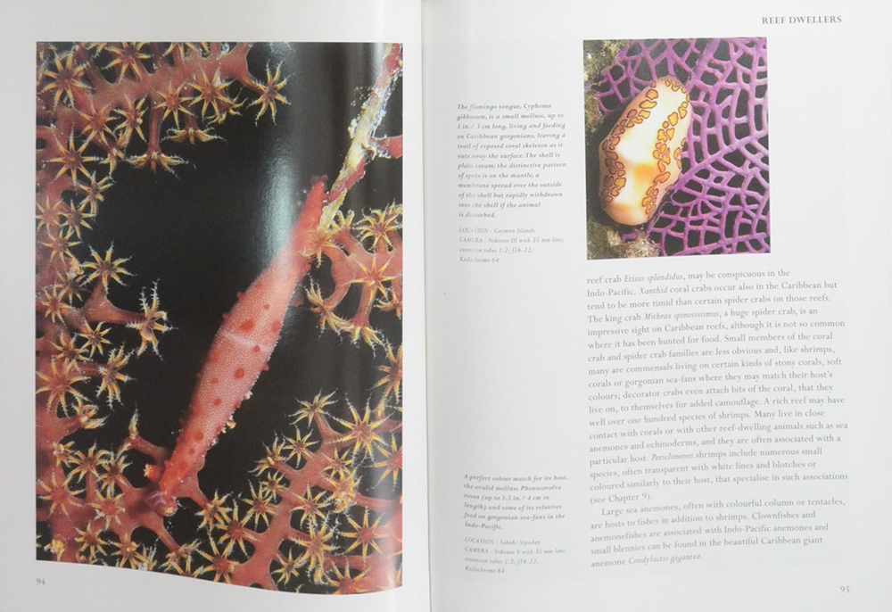 The Living Sea A Photographic Exploration of Life in the Sea