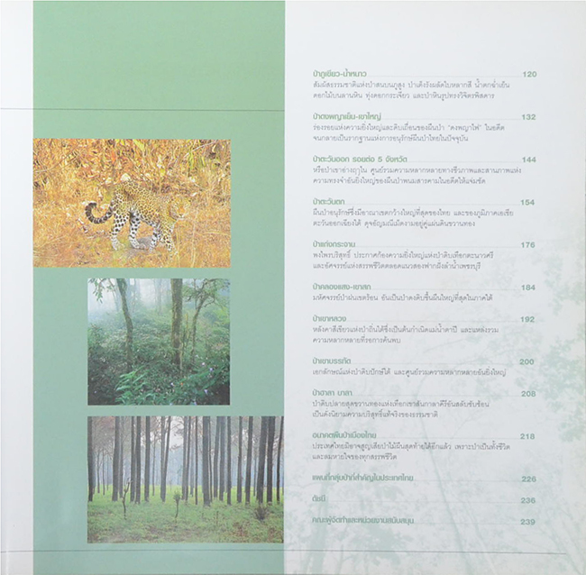 ป่ามรดกไทย อาณาจักรพรรณพืชและสรรพชีวิตแห่งป่าเขตร้อน (ขายตามสภาพ)