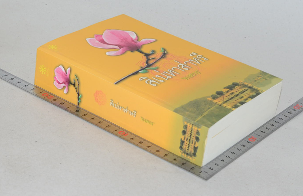 สิเน่หาส่าหรี