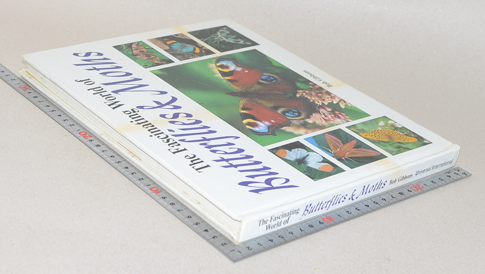 The Fascinating World of Butterflies & Moths