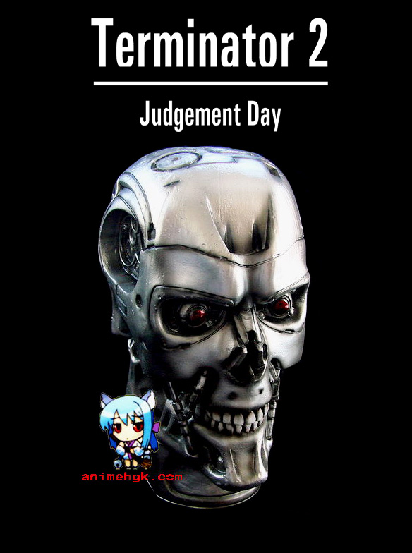 T-800 Head Skull 1/1