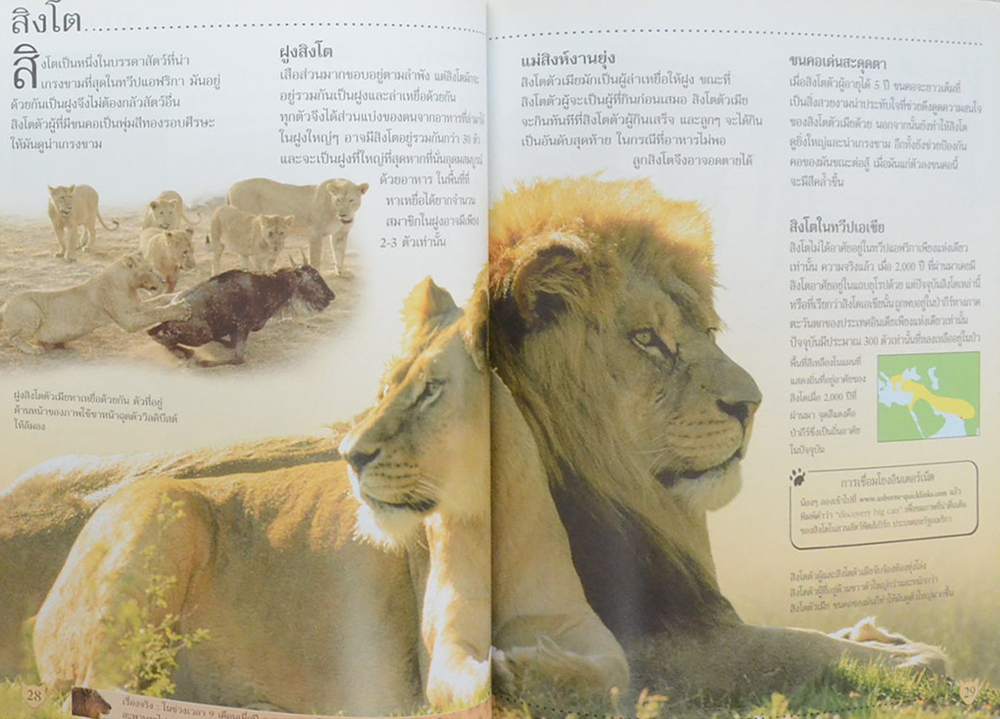 โลกของเสือ (ขายตามสภาพ)