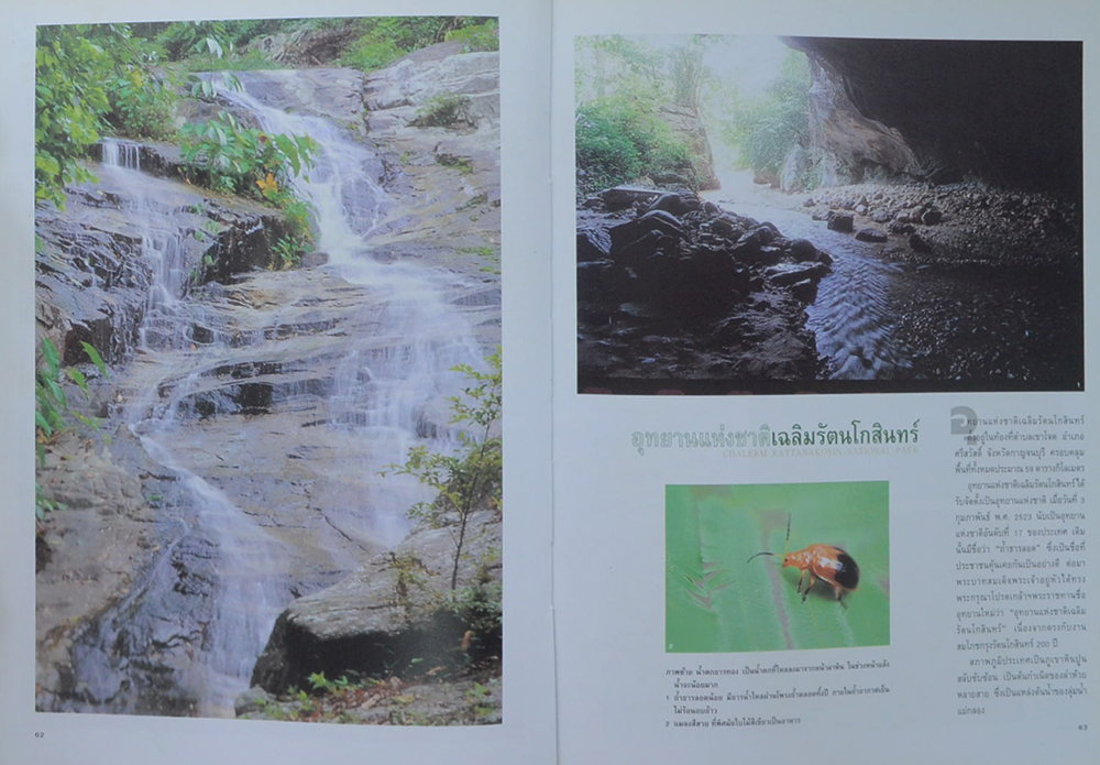 สมุนไพรในป่าฝน (เล่ม 1) (ขายตามสภาพ)