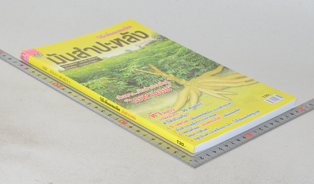 วิธีเพิ่มผลผลิต มันสำปะหลัง