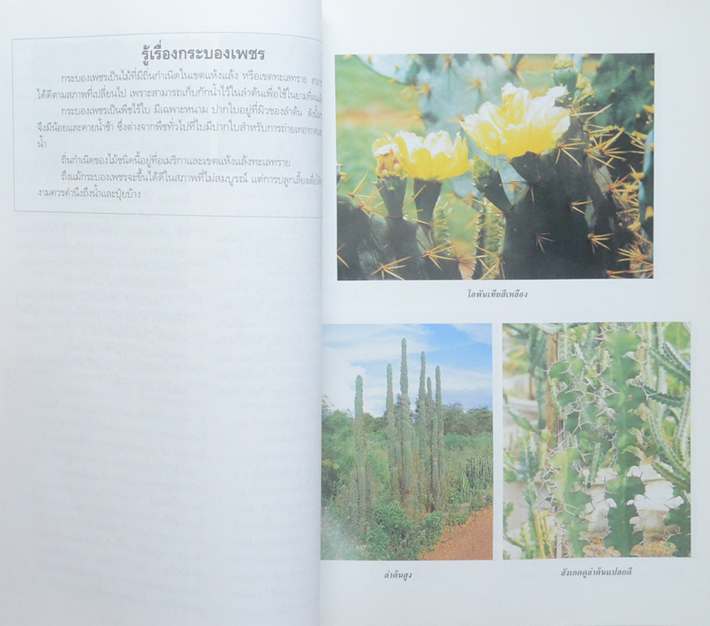 ไม้ประดับเศรษฐกิจ เล่ม 2 (ขายตามสภาพ)