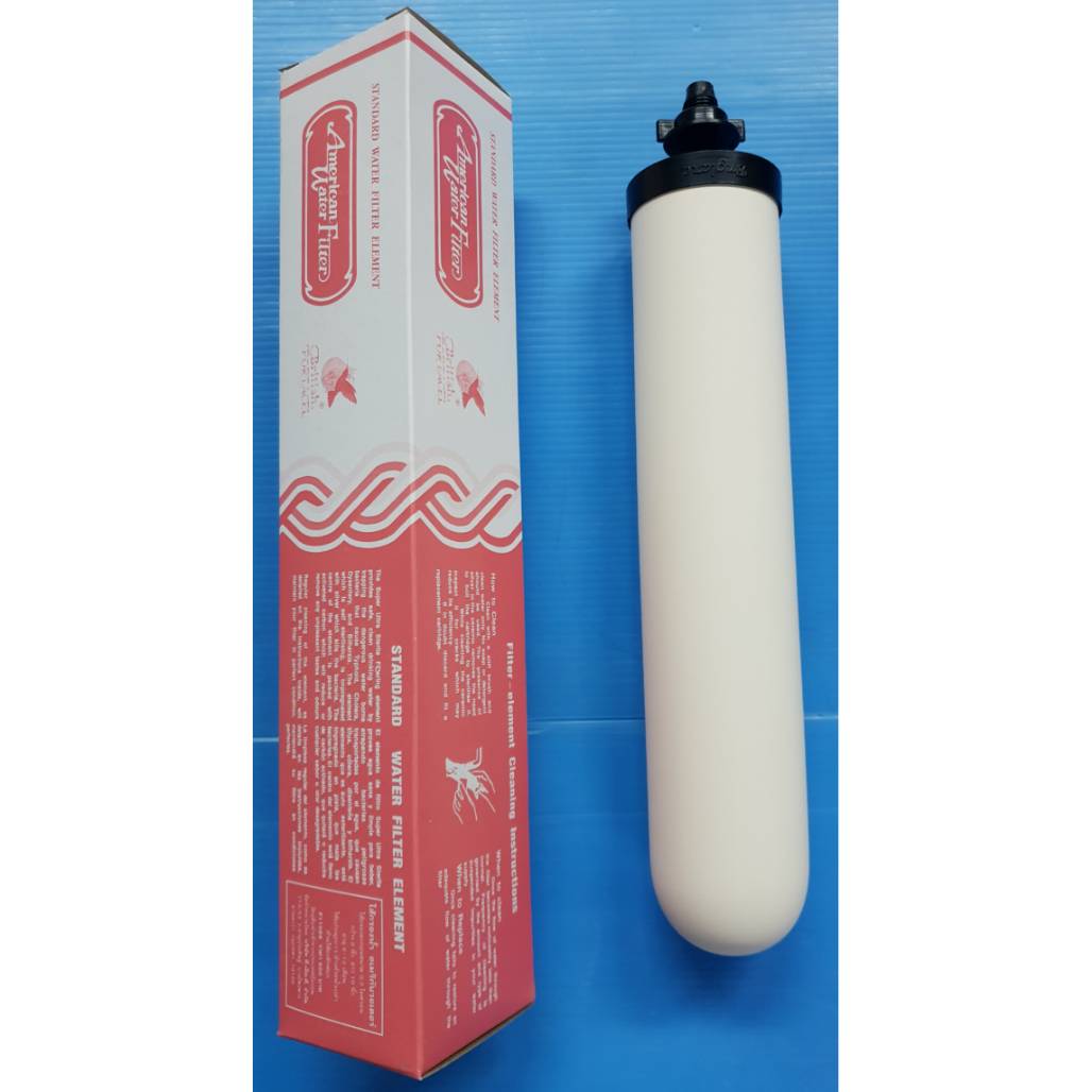 ไส้ STANDARD 10" 0.3 MC ฝาสีดำ ไม่มีคาร์บอน