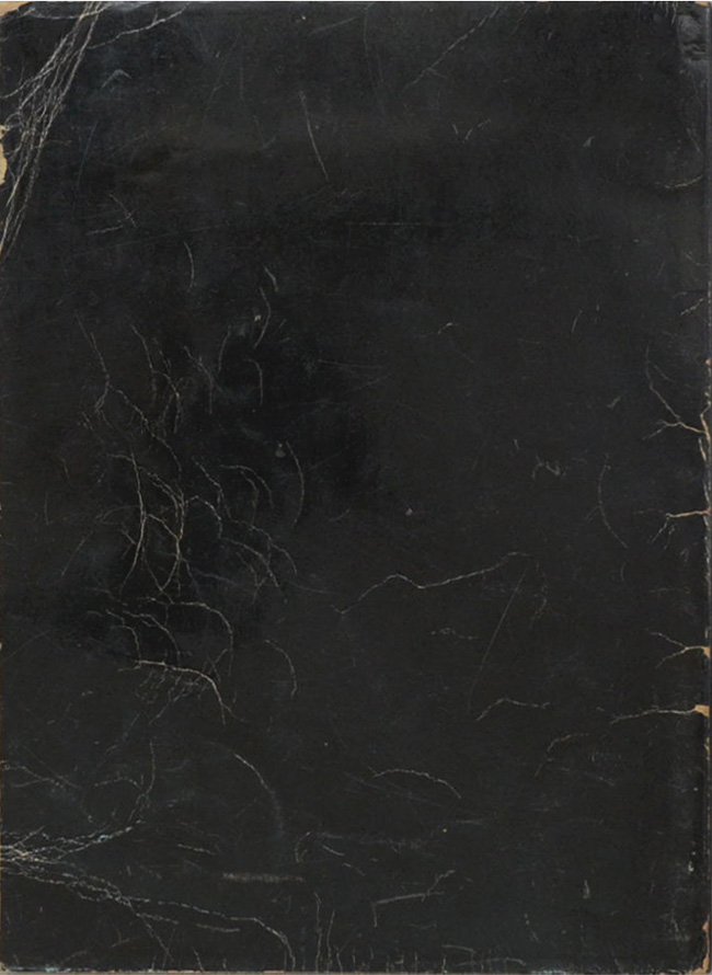 ในหลวงอานันท์ กับคดีลอบปลงพระชนม์ (ขายตามสภาพ)