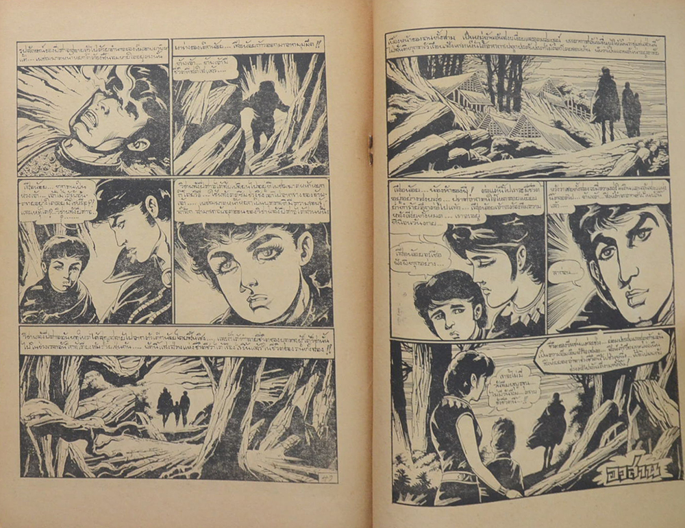 สิงห์ดำ (2 เล่มจบ/ขายตามสภาพ)