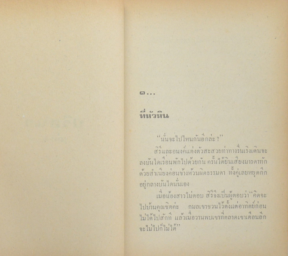 ปริศนา (2 เล่มจบ)