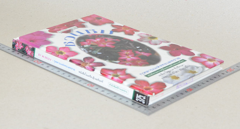 ชวนชม: กุหลาบแห่งทะเลทราย (ขายตามสภาพ)