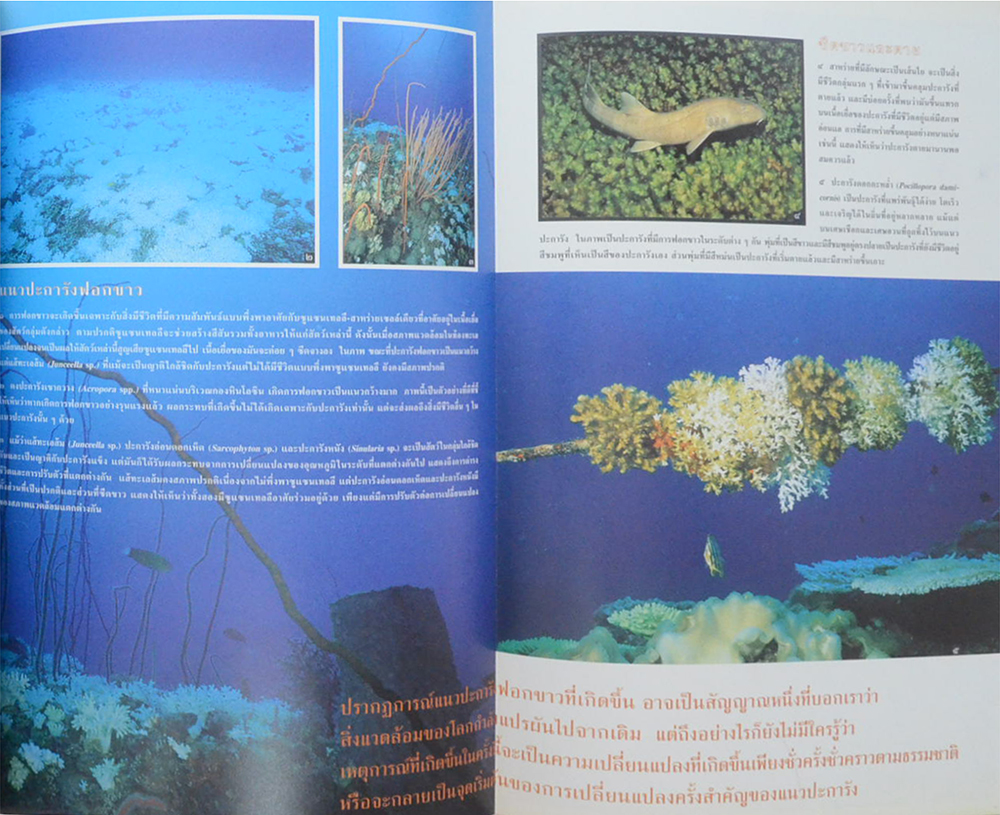 สารคดี ปีที่ 14 ฉบับที่ 168 กุมภาพันธ์ 2542