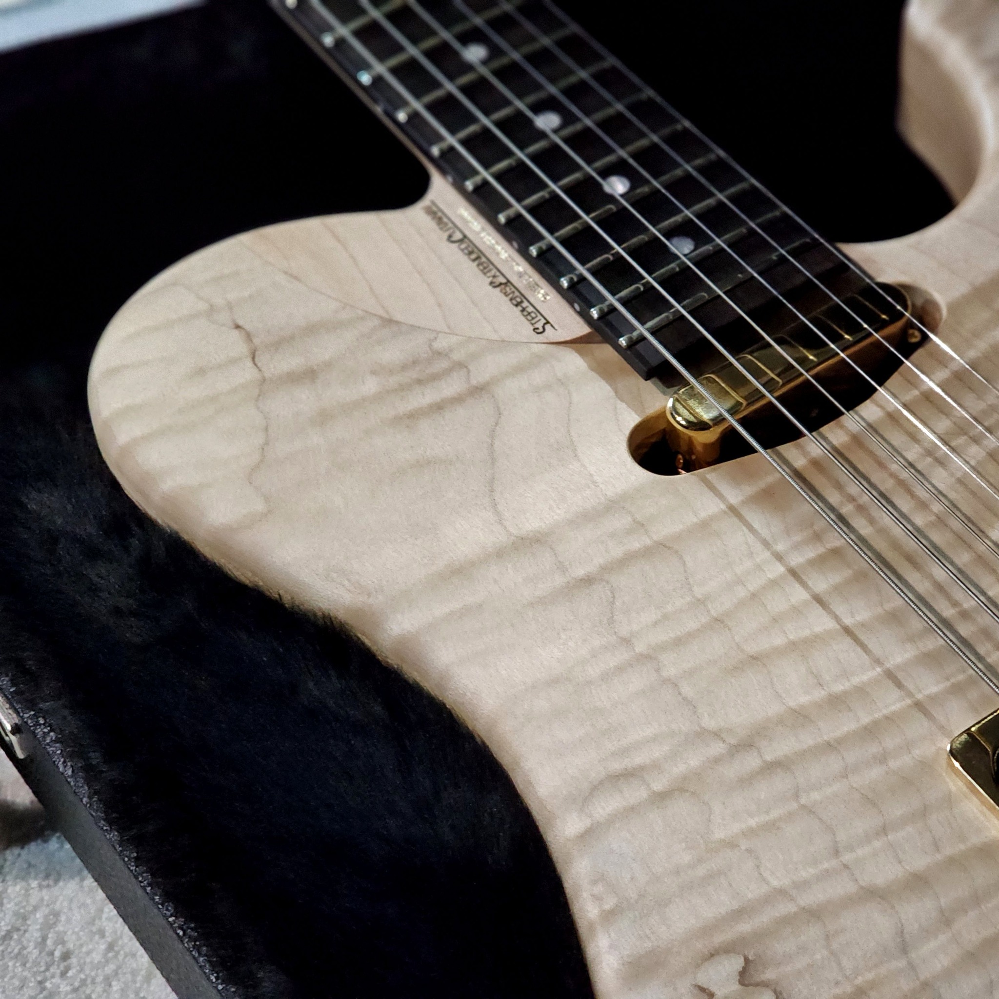 (BRAND NEW) WASHBURN NELE DELUXE USA NUNO BETTENCOURT