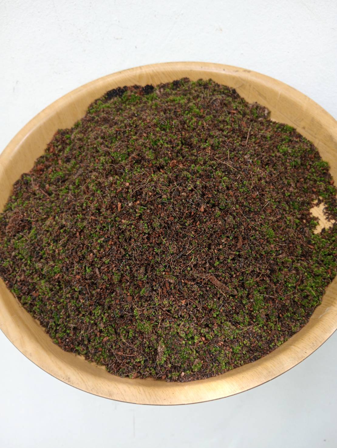 ดินร่วนพิเศษเนื้อละเอียด