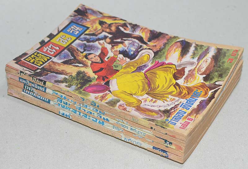 สิงห์สาละวิน (5 เล่ม / ไม่จบ)